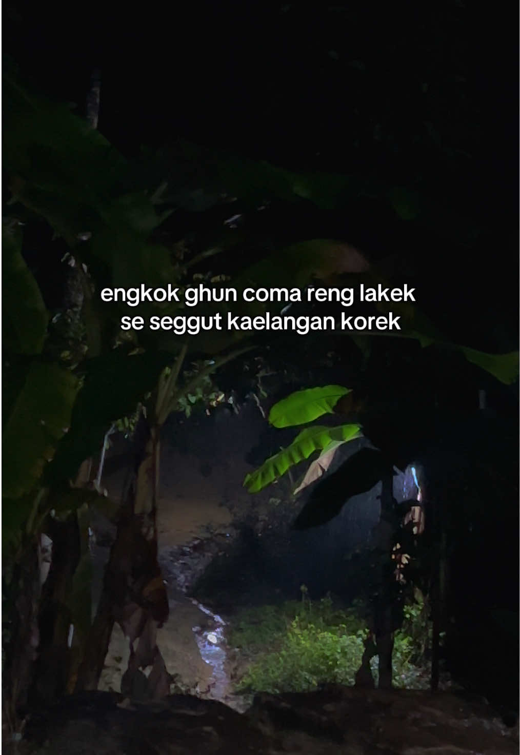 Jangan sakiti aku mad😅😂 #fyp #katakatamadura #madurasad #madura #foryou 