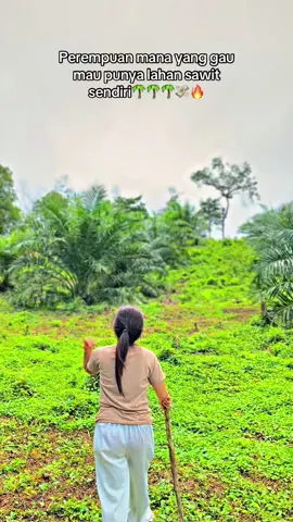 Impian 🤩🌴🌴🌴#storykulisawit #petanisawit #masukberandafyp 