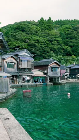 📍日本の絶景【日本】 The most beautiful spot in Japan 📍長野-Nagano 赤沢森林鉄道、奈良井宿　 📍熊本-Kumamoto 鍋ヶ滝、上色見熊野座神社、草千里ヶ浜 📍山梨-Yamanashi 久遠寺、氷室神社 📍京都-Kyoto 伊根の舟屋、賀茂神社、永観堂 📍佐賀-Saga 大魚神社 📍奈良-Nara 室生寺、壺阪寺、天理銀杏並木 📍石川-Ishikawa 白山比咩神社、ひがし茶屋街、尾山神社 📍静岡-Shizuoka 白糸の滝 📍大阪-Osaka 七宝龍寺、熊野街道信達宿 梶本家の野田藤 📍山形-Yamagata 垂水遺跡 📍滋賀-Shiga 金勝寺、八幡堀 🎥 @howell.wakayama  Camera: SONY ZV-E1 / FE35mm F1.4 GM , FE24-70 F2.8 GM Gimbal : DJI RS4 ______________ #Japan #japantravel #japantrip #torii #japanese   