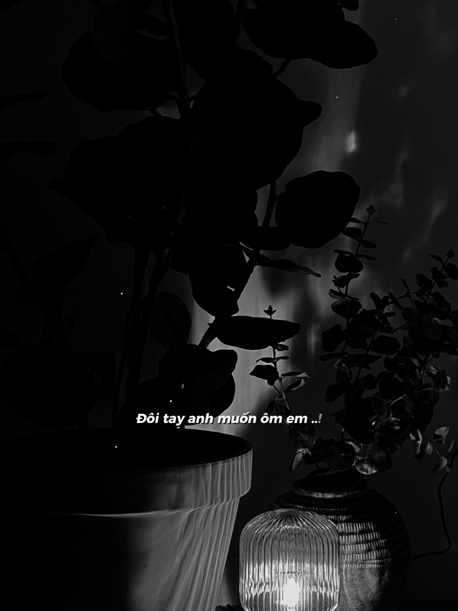 người ơi anh thấy nhớ em  #sbtentertainment  #fpyシ  #nhactamtrang #nhachaymoingay  #nvy_065 