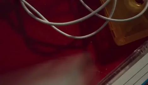 #nct #nctdream #foryou #fyp 