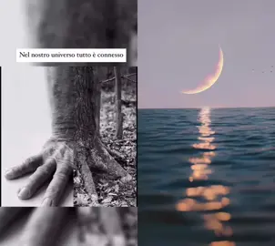 #duetto con @IL RAP lavocefuoridalcoro. #lavita 