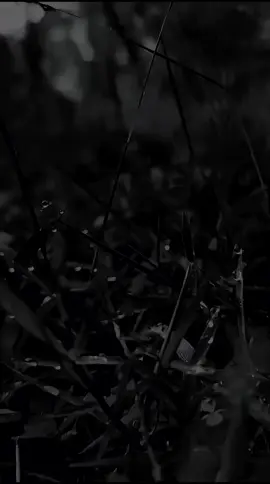 #katakata #motivasi #quotes #story #motivasihidup 