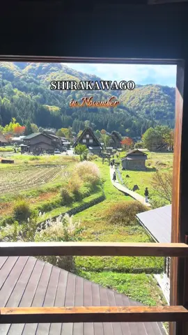 Early fall in Shirakawago🍂