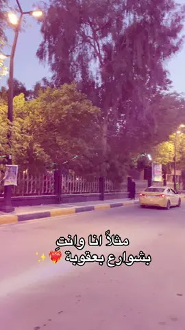 مثلاً 🥲💔#ياسر_عمار🦅🍂 #ترندات_تيك_توك #شوارع #ديالى #بعقوبة 