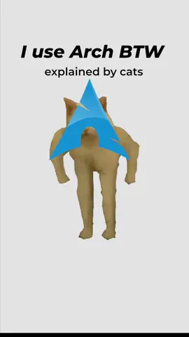 Kitty used Arch btw, explained by cats. #cat #coding #linux #arch #foss