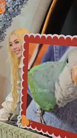 아부와엄마 가족사진🥹 #lingorm #หลิงออม #linglingkwong #Ormkornnaphat 