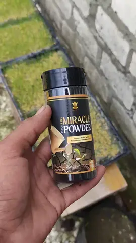 tanah keras? coba ini #asamhumat #asamhumatpembenahtanah #pembedahtanah #pembenahtanah 