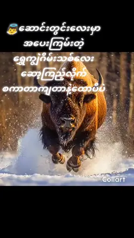 #ထိုင်းရောက်ရွှေမြန်မာ🇲🇲🇲🇲🇲🇲 #ရောက်ချင်တဲ့နေရာရောက်👌 #viewတေရှယ်ကျ 