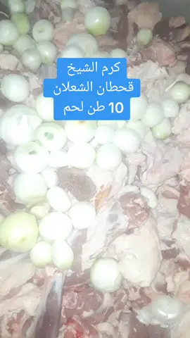 #صلاح_الدين #اسديرة #قحطان_الشعلان_ابو_سرحان #القيارة_جنوب_الموصل #الشيف_حمودي_المحمود 