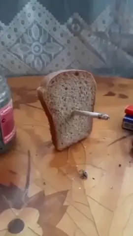 A memory like a stray bullet it tainted my present and shattered my future 😪💤 