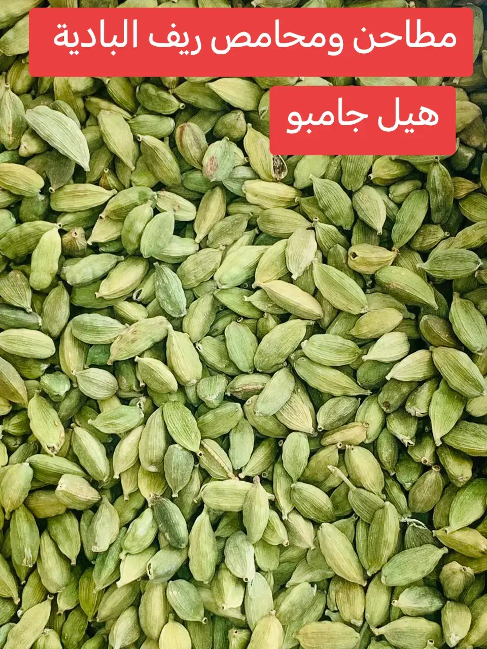 للهيل فوائد صحية عديدة، فهو غني بمضادات الأكسدة ويدعم الجهاز المناعي. كما يساعد في تحسين الهضم وتخفيف مشاكل المعدة مثل القرحة والغازات، ويعمل على تقليل رائحة الفم الكريهة. بالإضافة إلى ذلك، يمكن للهيل أن يساهم في خفض الوزن وتعزيز صحة القلب.   فوائد الهيل الصحية: غني بمضادات الأكسدة: يساعد على حماية الخلايا من التلف ويقوي جهاز المناعة.  يعزز صحة الجهاز الهضمي: يسهل عملية الهضم ويساعد في علاج قرحة المعدة، كما يخفف من الانتفاخ والغازات وحرقة الفؤاد.  يساهم في إنقاص الوزن: يزيد من عملية الأيض وحرق الدهون، ويساعد على التخلص من احتباس الماء، خاصة في منطقة البطن.  يقلل رائحة الفم الكريهة: لديه خصائص مضادة للبكتيريا تساعد على محاربة البكتيريا المسببة لرائحة الفم الكريهة.  يدعم صحة القلب: قد يساعد في خفض ضغط الدم وتقليل مستويات الكوليسترول.  مفيد لصحة الكلى والجهاز البولي: له تأثير مدر للبول ويساعد في الحفاظ على صحة الجهاز البولي.  يعزز صحة الفم والأسنان: يحتوي على خصائص مضادة للميكروبات تساعد في الوقاية من تسوس الأسنان والتهابات اللثة، ويساهم في تحسين رائحة الفم.  مصدر للحديد والمنغنيز: هذان المعدنان مهمان لعملية الأيض الخلوي وصحة العظام.  يساعد في التخلص من السموم: يعزز وظائف الكبد ويساعد الجسم على التخلص من السموم.  #الخميس #عتود 