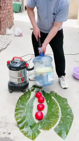 Máy hút bụi gia đình bán công nghiệp, dụng tích 12L, lực hút 12000pa, hút khô và ướt, 2 chế độ thổi và hút#xuhuong #mayhutbui #mayhutbuicamtay #mayhutbuigiadinh #mayhutbuicongnghiep 