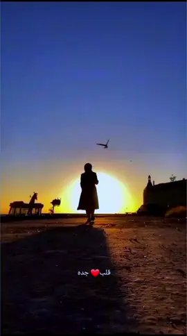 صباح الخير #قلب_جده❤️ #طلال_مداح #صوت_الارض #طلال_مداح_اسطورة_الفن_العربي 