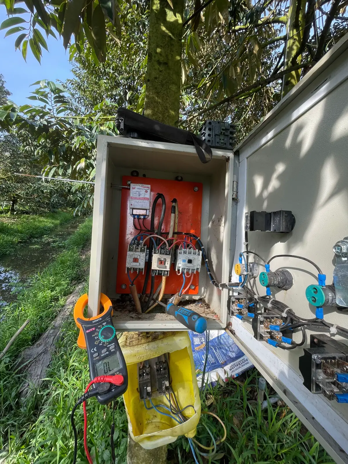 Sửa điện lời được trái sầu riêng chín cây#diencongnghiep #xacaibe #sauriengmientay 