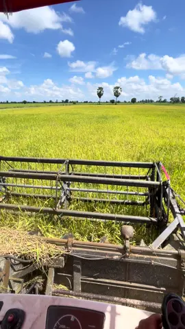 #ដៃគូបង់ប្រាក់# ទឹកដីថ្មី🌾🌾🌾