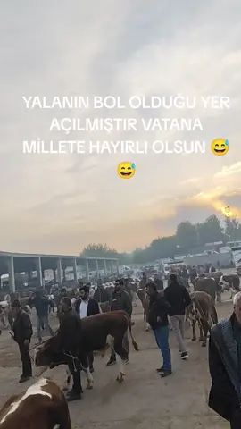 #kefetimiactiktok #hayvanciliklaugraşanlaraselamolsun #önen #hayvancilik @🦅 👑 mazlum 21 👑🦅 @Ferhat Angay 