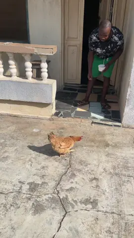 Na maggi and curry remain ✌️