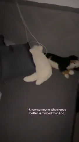 i hope she dreams well #BestFriends #fypagee #sleep #sleepover #dream 