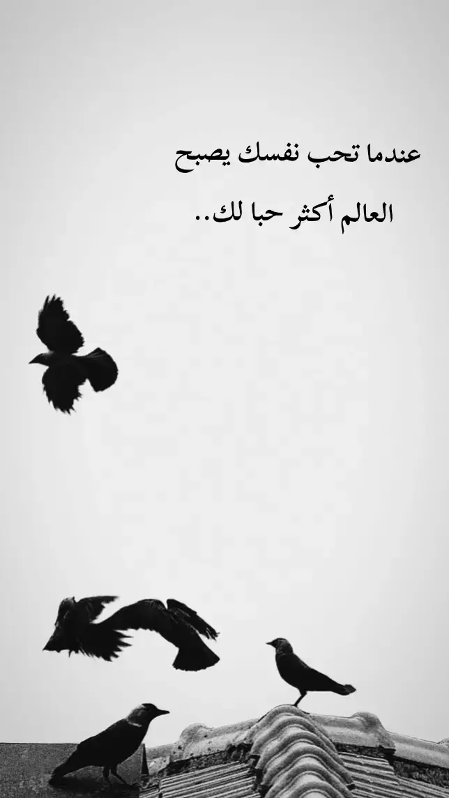 #بهاء🖤 #عبارات_جميلة_وقويه😉🖤  #عباراتكم_الفخمه📿📌 #fypシ 