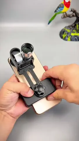 กล้อง โทรทรรศน์ตาข้างเดียวกลาง แจ้งแบบพกพา 8x20 HD การมองเห็น ได้ในเวลา กลางคืน มินิพ็อกเก็ตซูม สำหรับล่าสัตว์ ตั้งแคมป์ ปืนเขา เดินปา ดูนก #goodthing #fyp #foryou #tiktokshop 