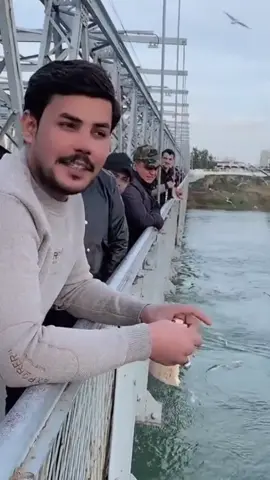 #تصميم_فيديوهات🎶🎤🎬 #حسام_المحبوب @حسام المحبوب  صح إلسانك 🤍