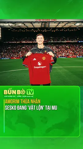 Sesko vẫn chưa thực sự hòa nhập được #bongda #bunbotv #tintucbongda #manutd #xuhuong 