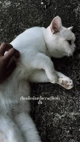 #ฟีดดดシ🖤#เรื่องแค่นี้ทำไมกุต้องมานั่งร้องไห้ว่ะ#เศร้าลงสตอรี่ #ฟีดดดシ🖤 #ความรักแย่สุดๆ🖤 