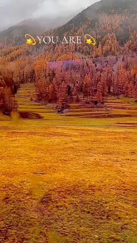 #💫🥰🥀☺️🤍💛🌼✨💫 #foryou 