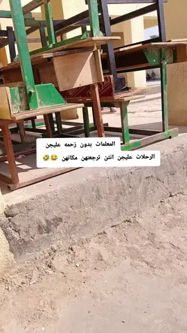#البصره_العراق_ميوزكلي 