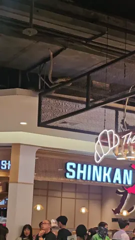 เหลือมมารายงานตัวงับ #งูเหลือม #ฟิวเจอร์พาร์ครังสิต 