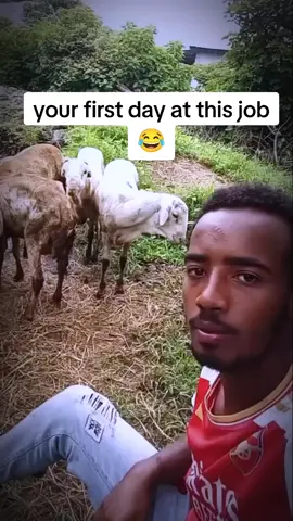 una no go kil me 😂#gehgeh 