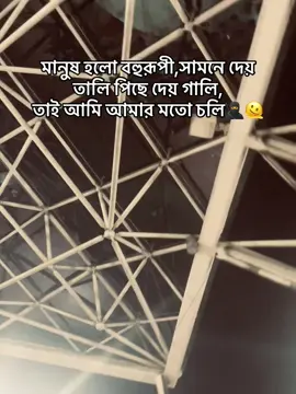 মানুষ হলো বহুরূপী,সামনে দেয় তালি পিছে দেয় গালি, তাই আমি আমার মতো চলি!