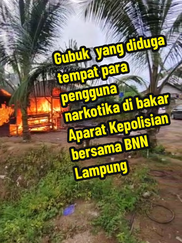Video saat Ditres Narkoba Polda Lampung & BNN melakukan pemusnahan/pembakaran yg diduga tempat dilakukannya transaksi jual beli narkoba di wilayah kabupaten pesawaran pada Jum'at 7 NOV 2025, Ada yg tau gaes tepatnya di kediaman siapa ?? #fyp #poldalampung #bnnlampung #bnn 