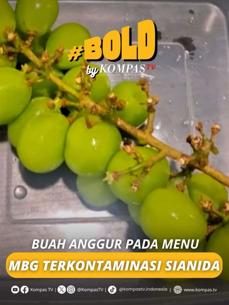 SPPG Polres Sukoharjo, Jawa Tengah, temukan buah anggur pada MBG yang terkontaminasi zat kimia berbahaya sianida. Hal itu dideteksi dari pemeriksaan yang dilakukan dengan metode kimia menggunakan alat rapid test, sebelum dibagikan ke siswa. Hasil rapid test menunjukkan anggur impor tersebut mengandung zat kimia sianida sekitar 30 miligram. Buah anggur kini diperiksa di laboratorium milik Pemerintah Provinsi Jawa Tengah. Tuliskan komentarmu dan dapatkan berita terkini lainnya di www.kompas.tv serta youtube.com/kompastv #BOLDKompasTV