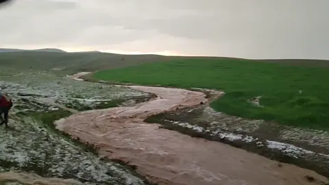 #حسابي_الرسمي_على_التيك_توك #عادة_النشر🔃 #مشاهير_تيك_توك #تصويري_احترافي_الاجواء👌🏻🕊 #الموصل_دهوك_اربيل_بغداد_كركوك 