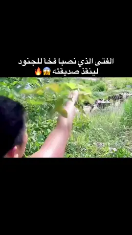 #fyp #viral #السعودية_الكويت_مصر_العراق_لبنان #سوريا_تركيا_العراق_السعودية_الكويت 