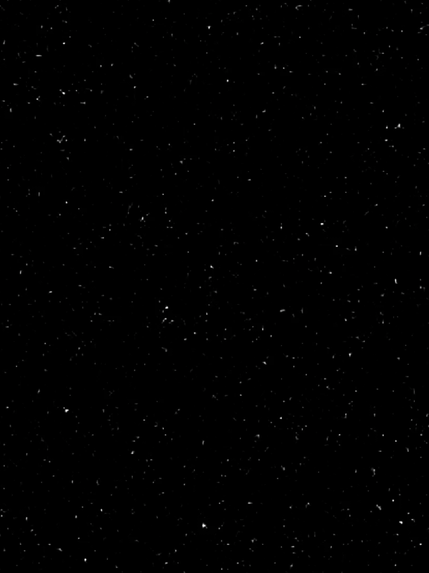 مدمر☝🏿#DragonBall #تصميم_فيديوهات🎶🎤🎬 #غوكو_ملك_الفخامة🔥👑 #fyp #انمي 