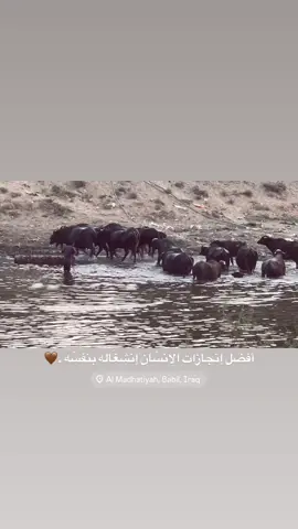 #اجمل_عبارة_راح_ثبتها📌 #تصويري_احترافي_الاجواء👌🏻🕊😴 #تصاميم_فيديوهات🎵🎤🎬 #اعادة_النشر🔃 #fyp 