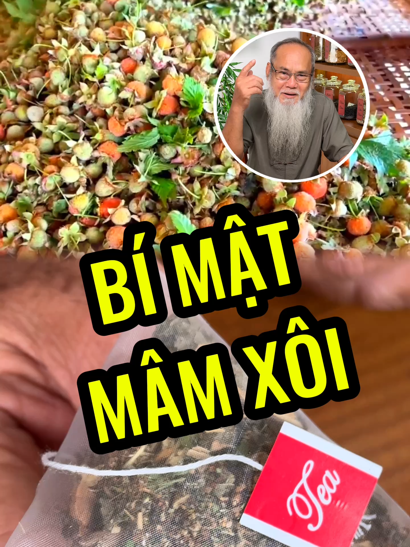 Bà con đã biết hết công dụng của quả này chưa.. #suckhoe #thaomoc #thaoduoc #ongsaucocay #tramamxoi