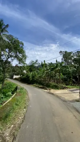 Yang rindu desa Tanalum komen🫠✌🏻 #rembang #purbalingga #perdesaan #perjalanan #fypage 