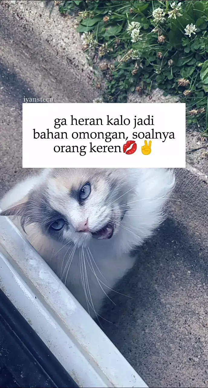 #fyp #iyanstecu #story 