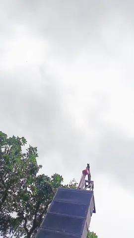 dekorasi 6m. trima kasih pak wirnom sudah mempercayakan pada kami. lokasi di Krasak Kedungjajang.  #wedding #dekor #dekorasipernikahan #dekorasi #dadapangucialit 