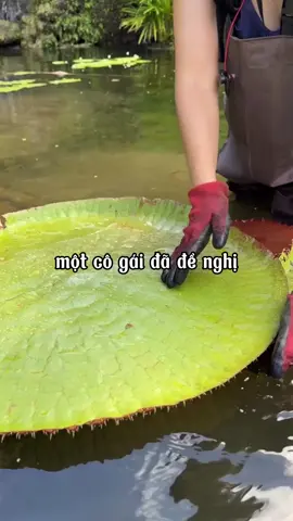 cái giá của một câu nói đùa #fyp #xuhuongtiktok #suthatthuvi #suthatngaunhien #kienthucthuvi 