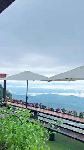 #skywalkmonjam #cafe #บรรยากาศชิวๆ #chiangmaithailand #คาเฟ่ธรรมชาติ 