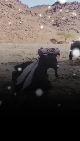 #لمن تروح من الغربه #معكم_بالترند😂👏🏻_اكسبلور #اضحك_من_قلبك #تصميم_الحكومه999انسخه_الصليه_وليس_المستعاره_حكومه_لديكم_لخوف_عليكم 