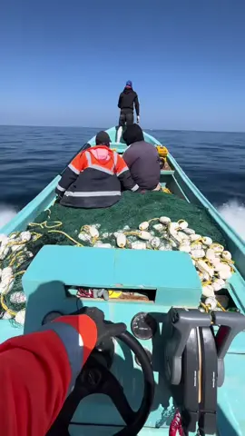 Chp Qof aad si Xad dhaaf u jeceshay isna QofKale Jecelayahay Sidee Laysku Nacsiiyaa?  😅🫡🙏💫 #TravelTikTok  #beach  #fypシ゚viral  #BeachVibes #TravelTikTok 