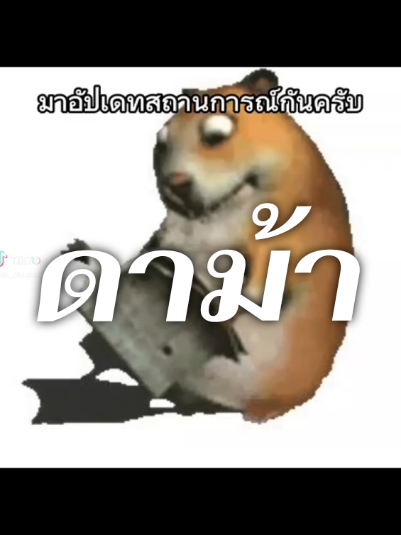 เปโด❌️  #oc 