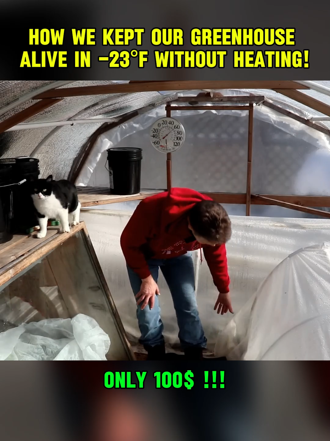 How We Kept Our Greenhouse Alive in -23°F Without Heating! (2/2) #diygreenhouse #wintergardening #wintergarden #gardeningtips #homemadeheater #heatinggreenhouse #diyheater #greenhouseheating #wintergarden #viralvideo #DIY #fyp