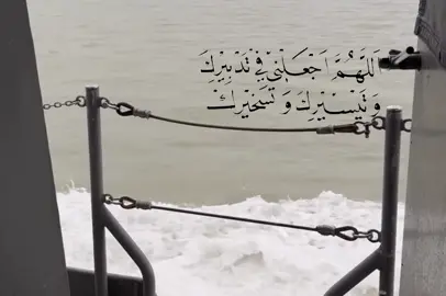 #باسم_الكربلائي #قصائد_حسينية #اناشيد #محتوى_حسيني #ياالله 